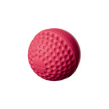 SWINGA TECHNIQUE CRICKET BALL