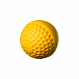 SWINGA TECHNIQUE CRICKET BALL