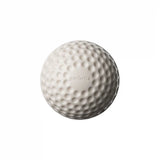 SWINGA TECHNIQUE CRICKET BALL