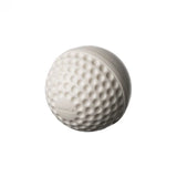 SWINGA TECHNIQUE CRICKET BALL