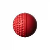 SWINGA TECHNIQUE CRICKET BALL