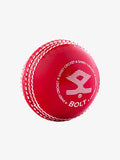 SHREY BOLT PLASTIC CRICKET BALL