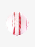 SHREY BOLT PLASTIC CRICKET BALL