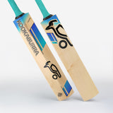 KOOKABURRA RAPID 6.2 BAT - SENIOR