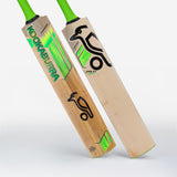 KOOKABURRA KAHUNA PRO 3.1 ICON BAT - JUNIOR