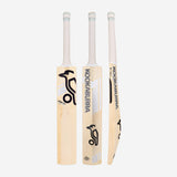 KOOKABURRA GHOST PRO 3.1 ICON BAT - SENIOR