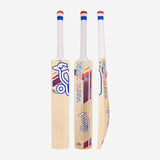 KOOKABURRA RAPID 6.1 SPECIAL BAT - SENIOR