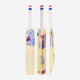 KOOKABURRA RAPID 6.5 FORCE BAT - JUNIOR