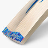 DSC BLU 5000 BAT - SENIOR