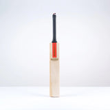 GRAY-NICOLLS SCOOP 50 CALSSIC EDITION BAT - SENIOR