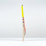 GRAY-NICOLLS STRATOS 1.1 300 BAT - SENIOR