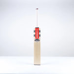 GRAY-NICOLLS VENTUS 1.1 300 BAT - JUNIOR