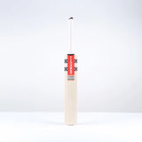 GRAY-NICOLLS CLASSIC ULTIMATE 300 BAT - SENIOR