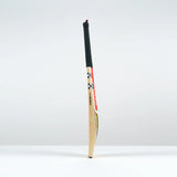 GRAY-NICOLLS VICTUS 200 BAT - SENIOR