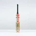 GRAY-NICOLLS VICTUS 200 BAT - SENIOR