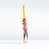 GRAY-NICOLLS HAVOC HB317 TEST BAT - SENIOR