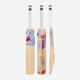 KOOKABURRA RAPID 4.1 HERO BAT - JUNIOR