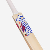 KOOKABURRA RAPID 4.1 HERO BAT - JUNIOR