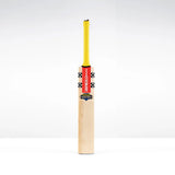 GRAY-NICOLLS HAVOC HB317 GN550 BAT - SENIOR