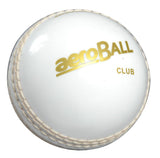 AERO CLUB SAFETY PLASTIC INCREDIBALL