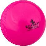 READERS CRICKET WINDBALL